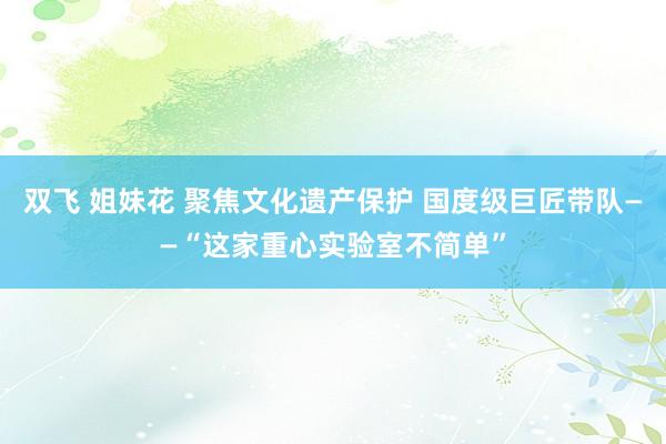 双飞 姐妹花 聚焦文化遗产保护 国度级巨匠带队——“这家重心实验室不简单”