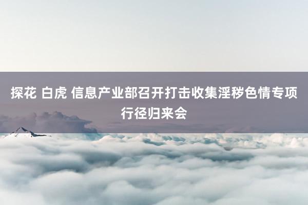 探花 白虎 信息产业部召开打击收集淫秽色情专项行径归来会