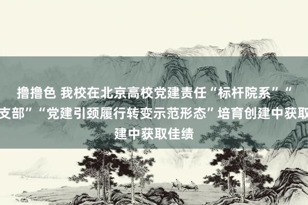 撸撸色 我校在北京高校党建责任“标杆院系”“样板支部”“党建引颈履行转变示范形态”培育创建中获取佳绩