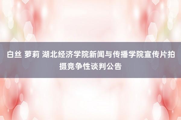 白丝 萝莉 湖北经济学院新闻与传播学院宣传片拍摄竞争性谈判公告