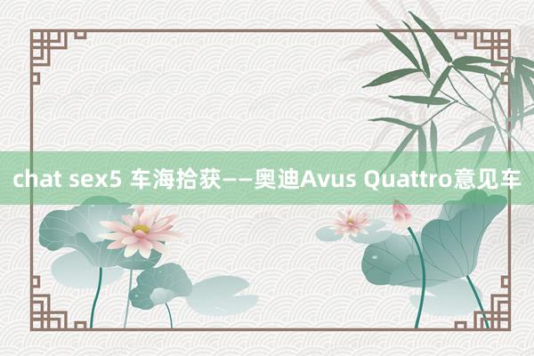 chat sex5 车海拾获——奥迪Avus Quattro意见车