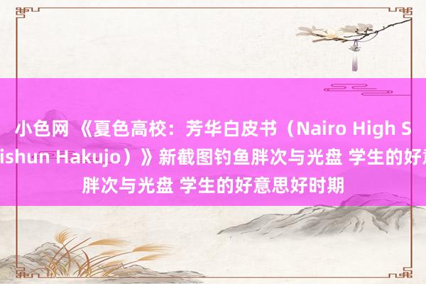 小色网 《夏色高校：芳华白皮书（Nairo High School: Seishun Hakujo）》新截图钓鱼胖次与光盘 学生的好意思好时期