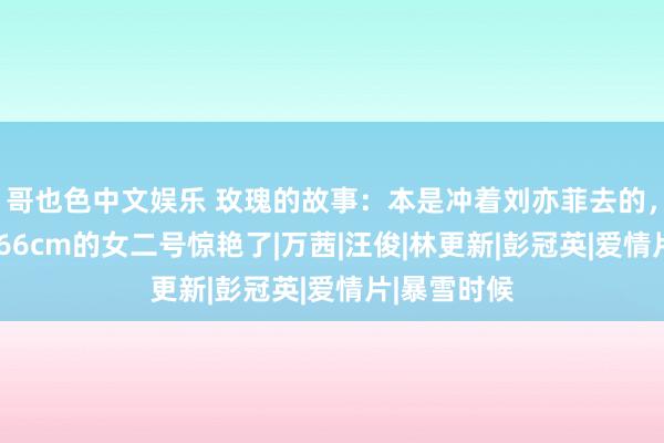 哥也色中文娱乐 玫瑰的故事：本是冲着刘亦菲去的，却被身高166cm的女二号惊艳了|万茜|汪俊|林更新|彭冠英|爱情片|暴雪时候