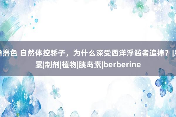 撸撸色 自然体控骄子，为什么深受西洋浮滥者追捧？|胶囊|制剂|植物|胰岛素|berberine