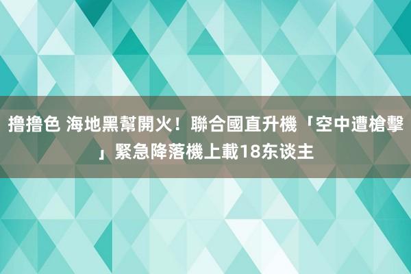 撸撸色 海地黑幫開火！聯合國直升機「空中遭槍擊」緊急降落　機上載18东谈主