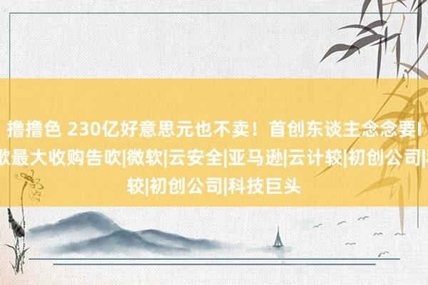 撸撸色 230亿好意思元也不卖！首创东谈主念念要IPO，谷歌最大收购告吹|微软|云安全|亚马逊|云计较|初创公司|科技巨头