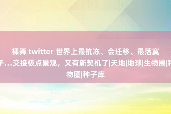 裸舞 twitter 世界上最抗冻、会迁移、最落寞的屋子…交接极点景观，又有新契机了|天地|地球|生物圈|种子库