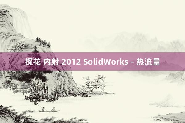 探花 内射 2012 SolidWorks - 热流量