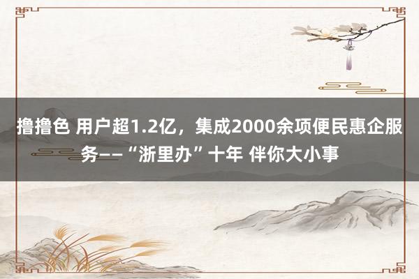 撸撸色 用户超1.2亿，集成2000余项便民惠企服务——“浙里办”十年 伴你大小事