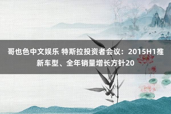 哥也色中文娱乐 特斯拉投资者会议：2015H1推新车型、全年销量增长方针20