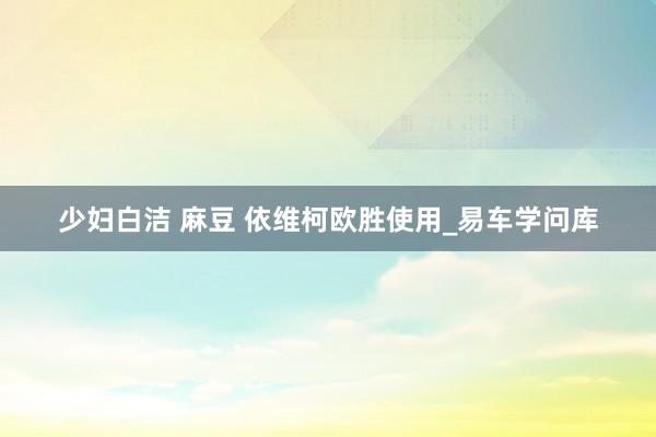 少妇白洁 麻豆 依维柯欧胜使用_易车学问库