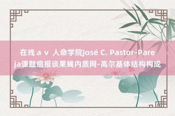 在线ａｖ 人命学院José C. Pastor-Pareja课题组报谈果蝇内质网-高尔基体结构构成