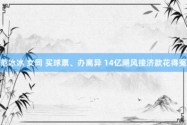 范冰冰 女同 买球票、办离异 14亿飓风接济款花得冤